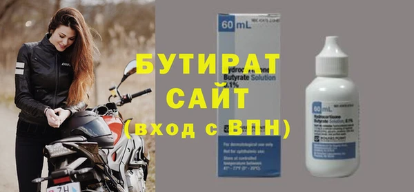 хмурый Пересвет
