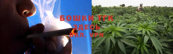 хмурый Пересвет
