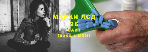 спиды Аркадак