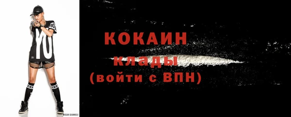 дживик Пестово