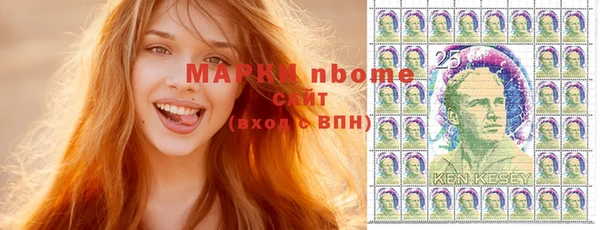 хмурый Пересвет