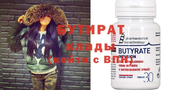 хмурый Пересвет