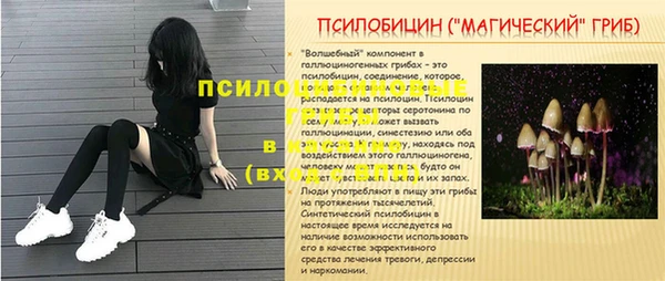 хмурый Пересвет